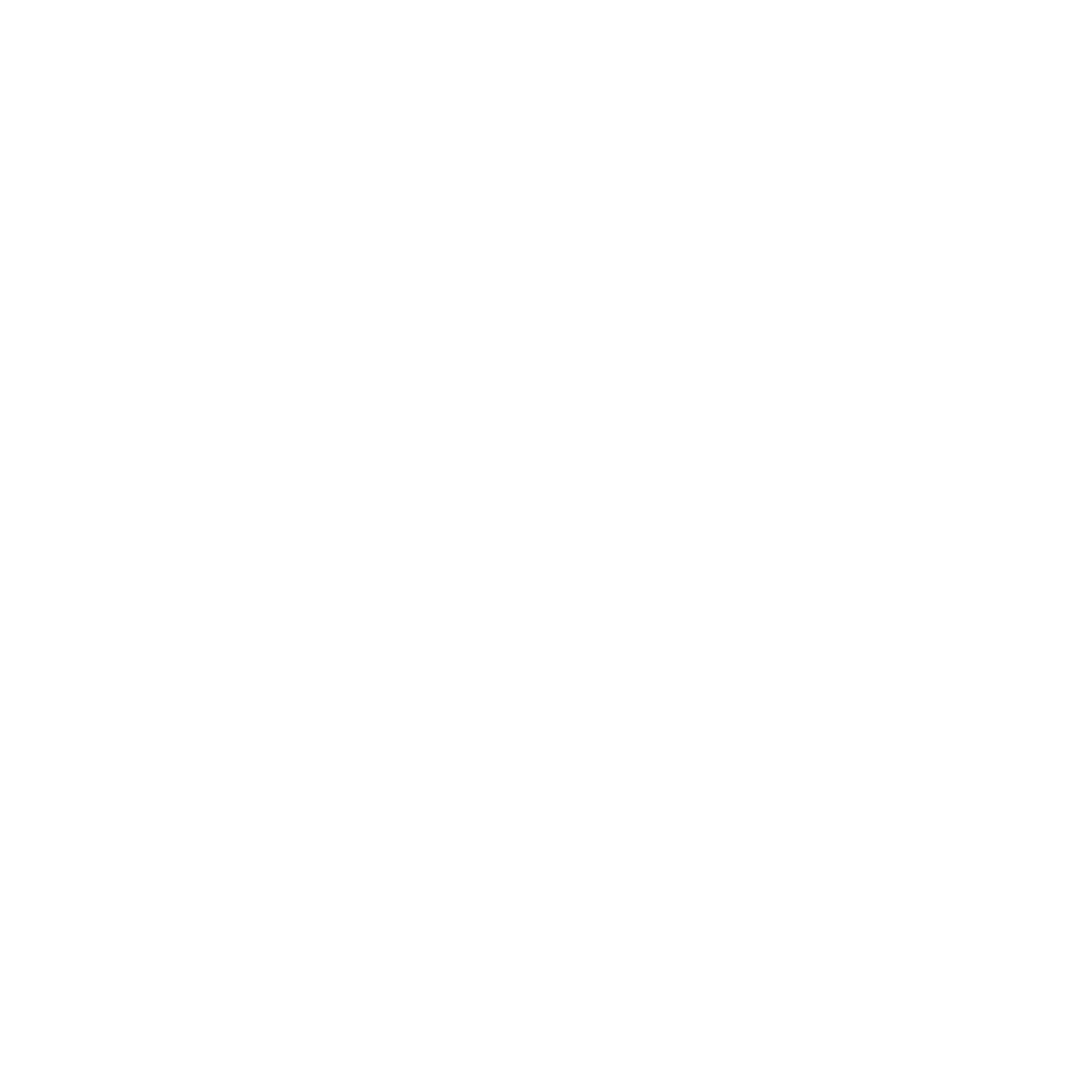 Renegade Reformer logo